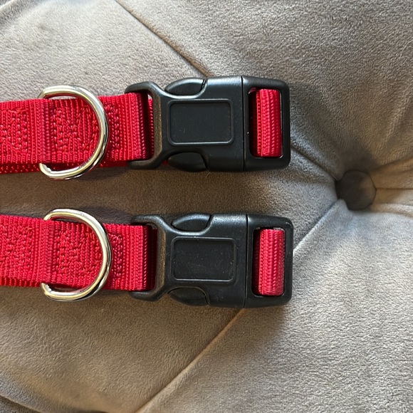 Adjustable Red Nylon Dog Collar - Picture 2 of 3